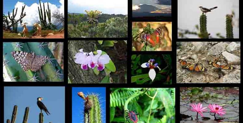 Radio Habana Cuba Colombia Confirma 150 Nuevas Especies De La Flora Y La Fauna