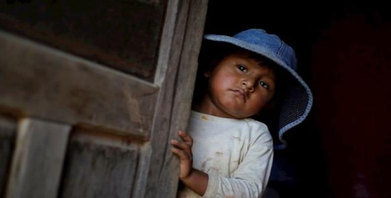 Three-year-old Edil Quispe watches his father cutting coca leaves in Coroico, Bolivia.  (Photo: EFE)