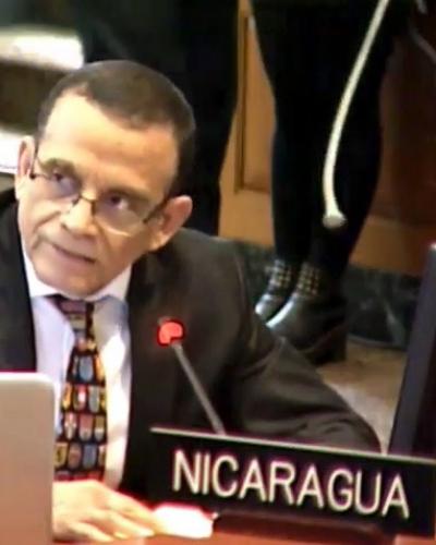 Nicaragua no puede tolerar se abuse de la buena fe del Estado, aseguró Luis Alvarado, embajador ante la OEA.(Foto:internet)