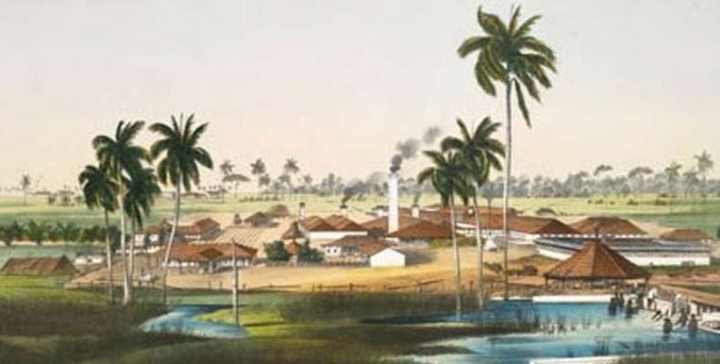 El Ingenio Narciso estaba en Banagüises, Municipio de Colón, provincia cubana de Matanzas. Ilustración tomada de PL