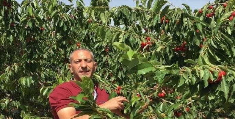 Undated file picture shows Palestinian prisoner Samer al-Arbeed.  (Photo: Press TV)