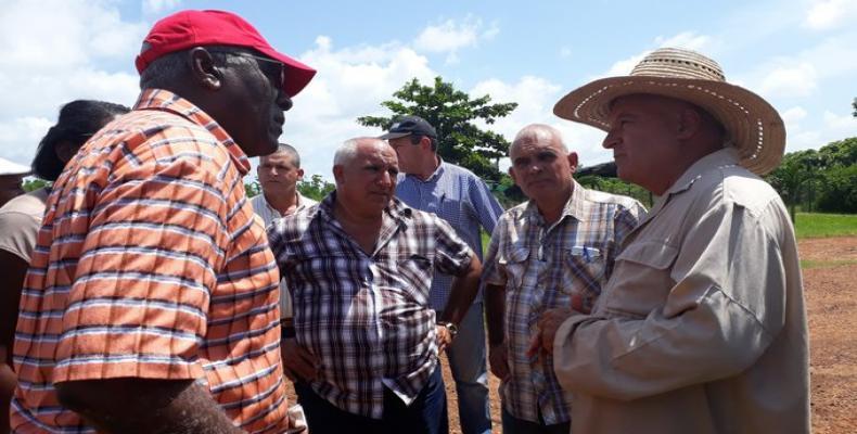 Valdés Mesa (I) dialga con trabajadores agrícolas. Foto: @PresidenciaCuba