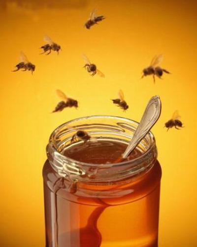En el país, la producción de miel está alrededor de las ocho mil toneladas anuales. Imagen de Archivo