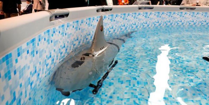 El tiburón pesa 75 kilogramos y tiene una longitud de 2,2 metros.Foto:Reuters