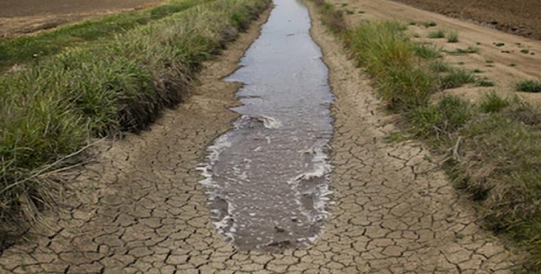 Sequía impacta el 45 por ciento del territorio nacional. Foto: ACN.