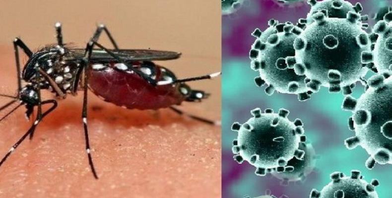 Tanto el dengue como la COVID-19 tienen un periodo febril y otro crítico. Foto: ACN