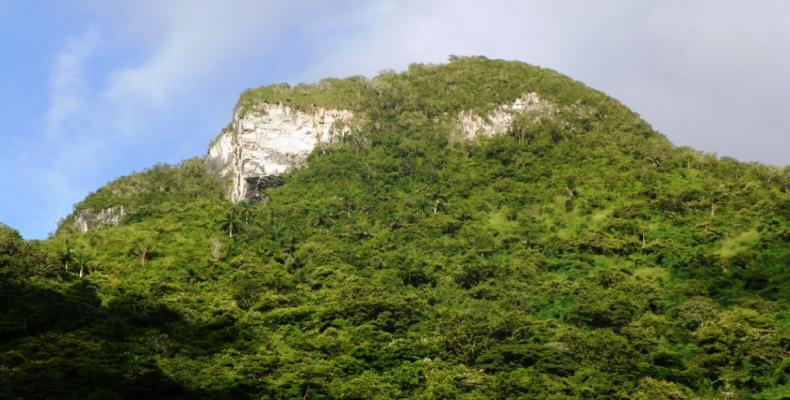 Lomas de Banao, museo de la biodiversidad. Fotos: Cortesía de la UEB Lomas de Banao