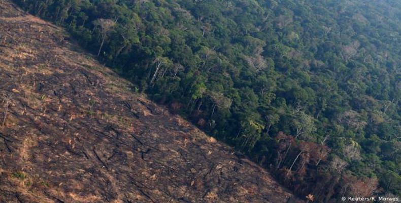 Deforestacion en Amazonía brasileña. Foto/Reuters