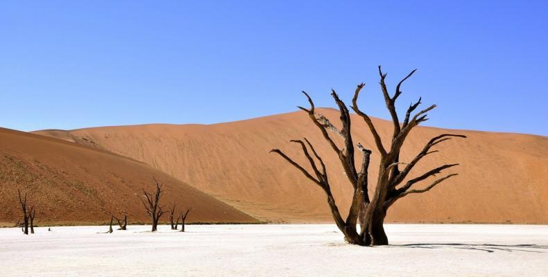 Imagen ilustrativa. Un desierto en Namibia.Pixabay / katja