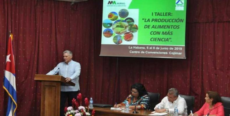 El gobernante llamó a fortalecer la vinculación entre la agricultura y la industria alimentaria. Foto: Estudios Revolución