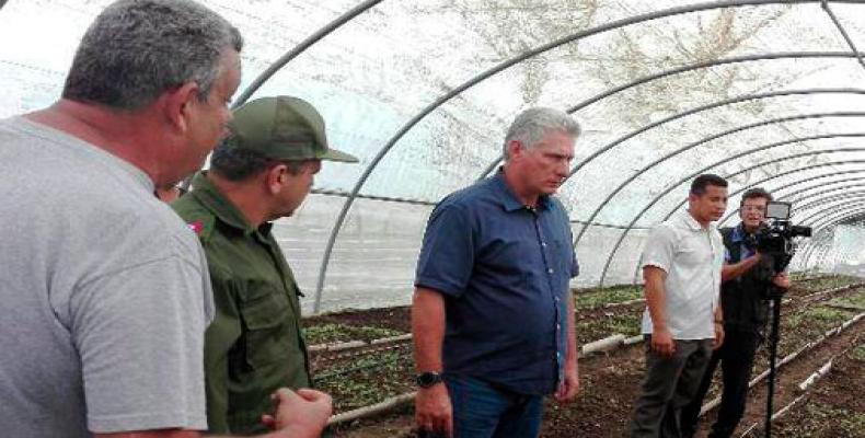 Díaz-Canel se interesó por las afectaciones que provocó el fenómeno hidrometeorológico. Foto: Alina Cabrera