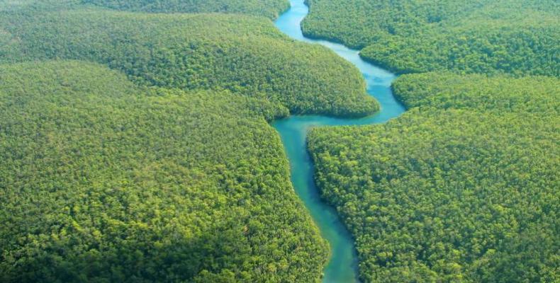 Vista aérea de un segmento pequeño de la Amazonía. Foto tomado de Internet