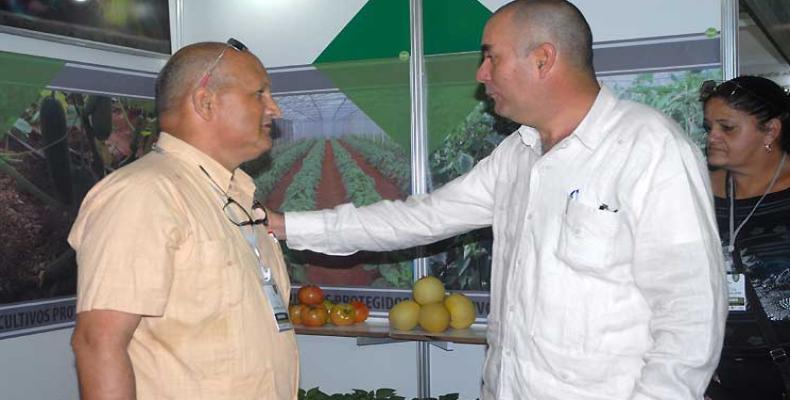Unos 280 expositores presentan sus simientes en la Primera Feria Nacional de Semillas, inaugurada en La Habana.Foto:PL.