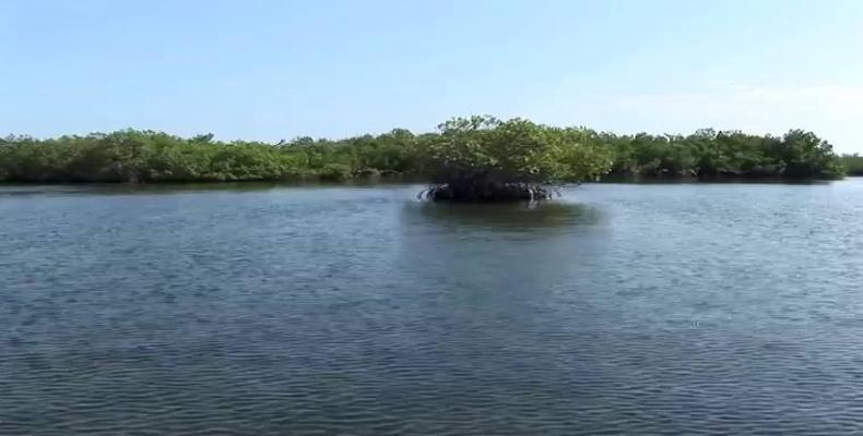 Parque Nacional Jardines de la Reina, el más grande reducto marino virgen cubano.