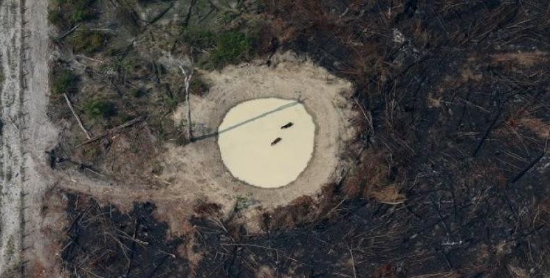 Aerial view of a burned tract of Amazon jungle cleared by loggers near Porto Velho, Brazil, August 29, 2019.  (Photo: Reuters)
