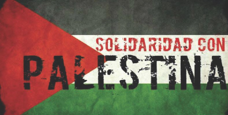 Desde 1977, Naciones Unidas celebra cada 29 de noviembre el Día Internacional de Solidaridad con el Pueblo Palestino. Fotos: Archivo