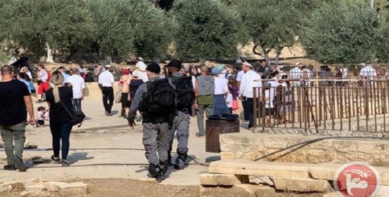 Israeli settlers and regime forces at the al-Aqsa Mosque.  (Photo: Maan)