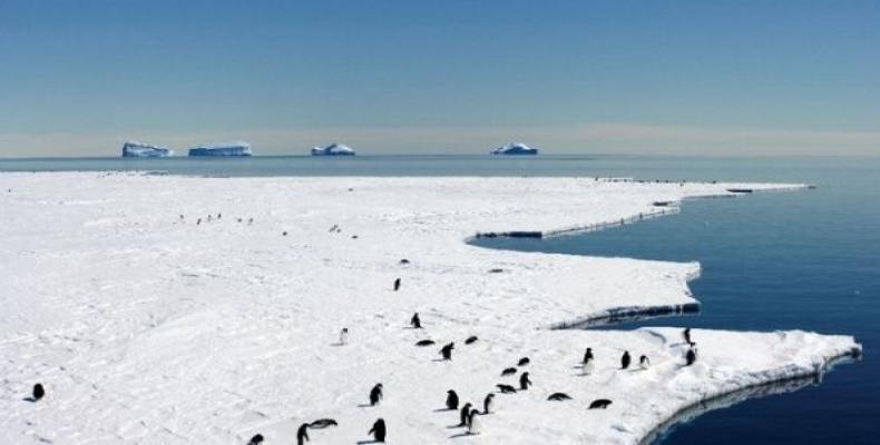 Climate change affects Antarctica glaciers.  Photo: Google File