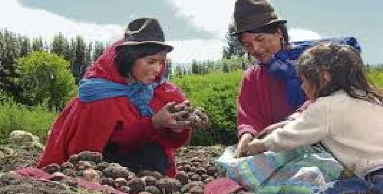 El papel de las mujeres rurales va más allá de la producción agrícola, abarca todo el sistema alimentario. Foto: Archivo
