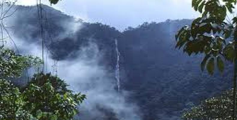 Sur la photo, la Sierra del Rosario, un lieu de visite au programme de la rencontre de l'UNESCO à La Havane