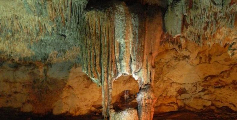 Ocultos en el mundo del silencio subyacen tesoros naturales que hacen de Cuba un reservorio natural.Foto:PL.