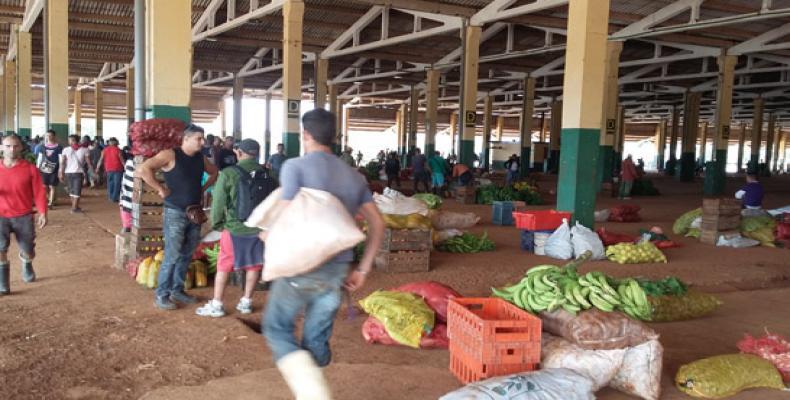 Mercado mayorista El Trigal