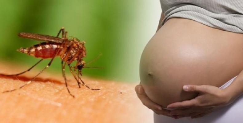 La población con mayor riesgo son las mujeres embarazadas, especialmente en los primeros seis meses de gestación, pues el zika puede causar complicaciones en el