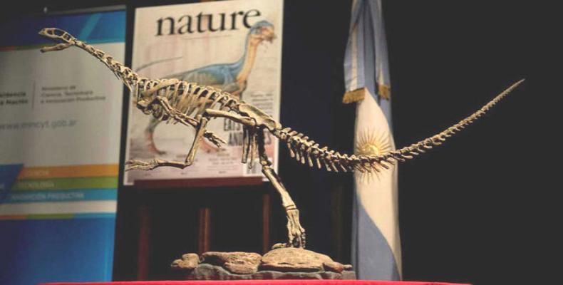 Réplica de un esqueleto de un Chilesaurus. AFP 