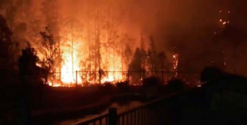 Reporta agencia de ONU peligrosos incendios forestales en Australia. Foto: PL.