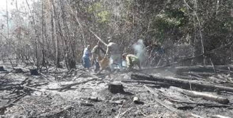 El incendio se produjo en la empresa agroforestal Macurije, del municipio de Guane. Foto: Daimí Díaz Breijo