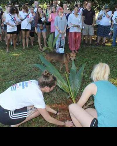 Brigadistas solidarios plantar árbol en el  Campamento Internacional Julio Antonio Mella, de Artemisa.(Foto:Lorenzo Oquendo)