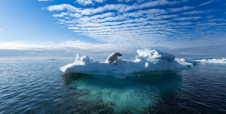 Climate study finds ocean temperatures hit record high in 2018.  Photo: Reuters