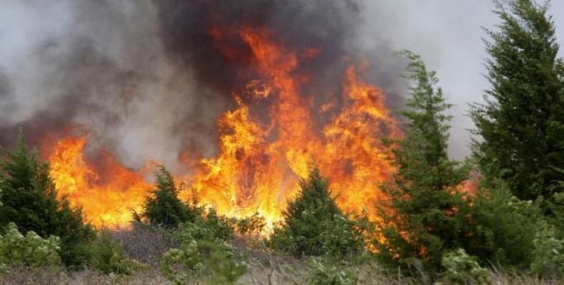 Incendio forestal