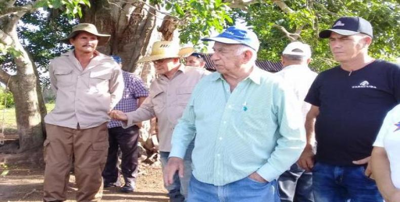 Machado Ventura insistió también en el empleo de la ciencia y la técnica para incrementar los rendimientos. Foto: Archivo