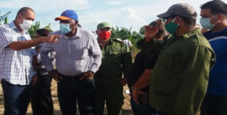 Valdés Mesa constató el trabajo que realizan los pineros en pos de la soberanía alimentaria. Foto: Elba Salazar Cuba