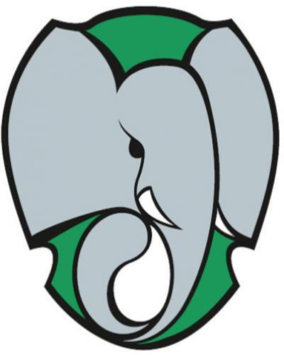 Los Elefantes de Cienfuegos van registrando una buena actuación en lo que va de campeonato