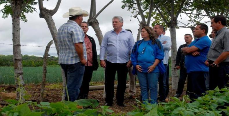 Díaz-Canel comparte con joven campesino. Foto:  Diario Granma