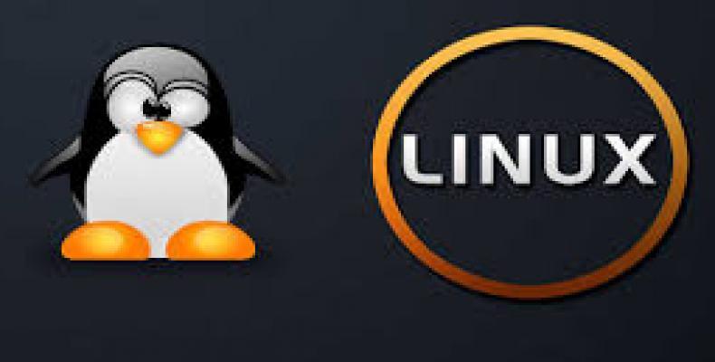 Linux. Foto: Internet