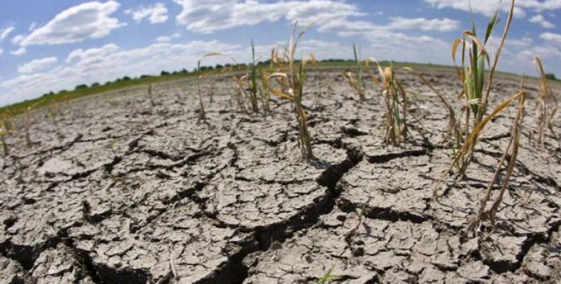 El cambio climático se manifiesta con daños que parecen irreversibles. Foto: Archivo