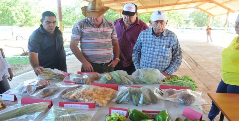 El alto dirigente partidista (D) instó a incrementar los volúmenes de productos destinados a la exportación y a la sustitución de importaciones. Foto: ACN