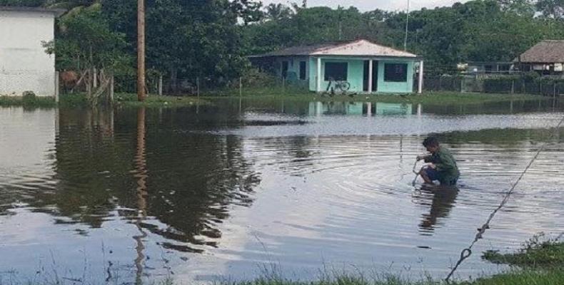 Zonas de la Ciénaga de Zapata enfrentaron una compleja situación por la persistencia de las inundaciones.Foto:Girón.