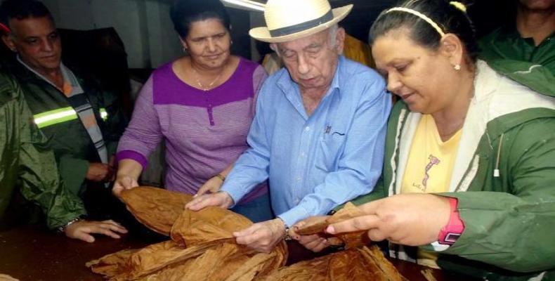 Machado Ventura visitó áreas de tabaco en Pinar del Río