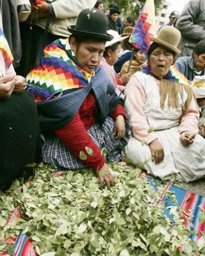 Bolivianas con hojas de coca. Foto: Archivo