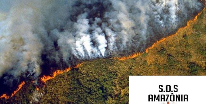 Los incendios son comunes en sequía, pero también los provocan deliberadamente los agricultores que deforestan ilegalmente las tierras. Foto: Archivo 