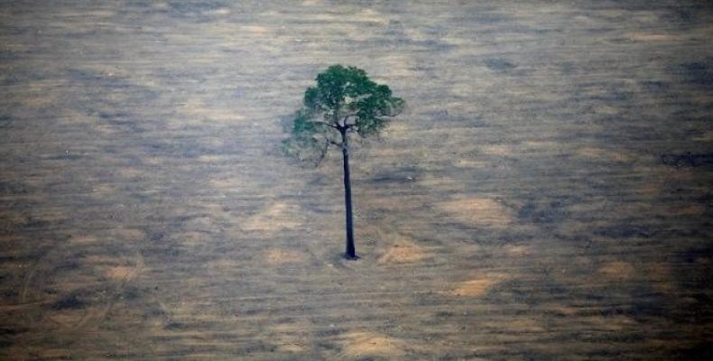 An aerial view shows a deforested plot of the Amazon near Porto Velho, Rondonia State, Brazil.  (Photo: Reuters)