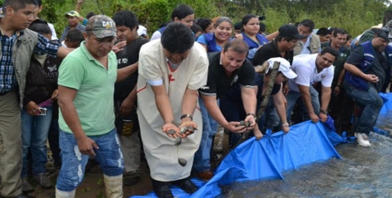 Evo Morales en la siembra de tortugas en Beni