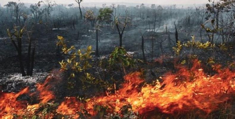 Incendios forestales en la Amazonía