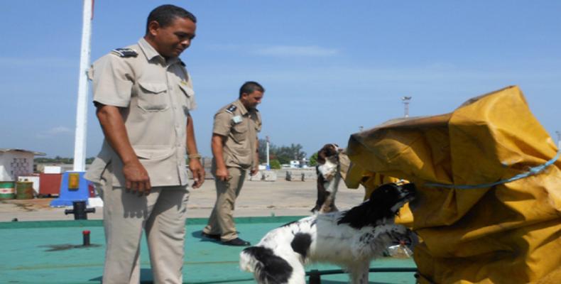 Las autoridades cubanas despliegan un intenso combate contra las drogas. Foto: Archivo