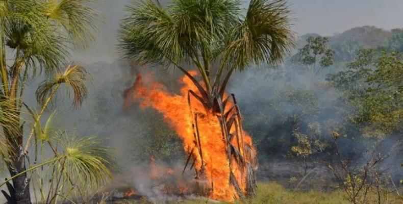 Fire burns a tract of the Amazon jungle in Agua Boa, Mato Grosso state, Brazil September 4, 2019. (Photo: Reuters)