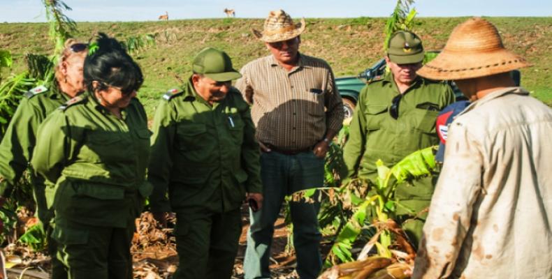 El titular cubano de la Agricultura (en el centro) recorre plantaciones en Ciego de Ávila. Foto: Periódico 26